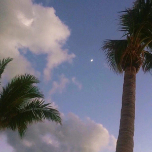 that p的结构黄色电影黄色的片子黄色片
